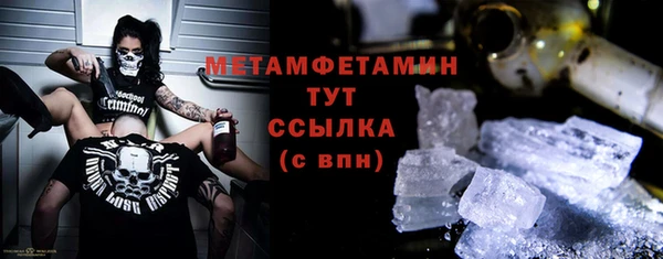 прущие грибы Снежногорск
