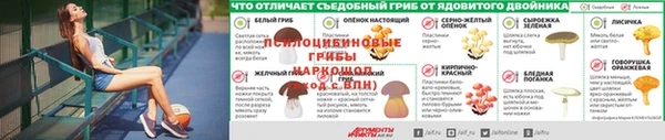 эйфоретик Дмитровск