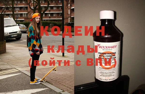 прущие грибы Снежногорск