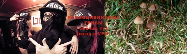 эйфоретик Дмитровск